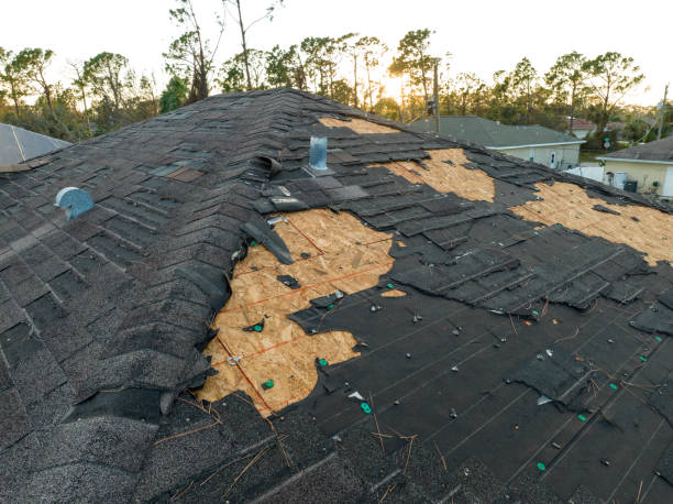 Best Cold Roofs  in Elysburg, PA